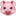 🐷
